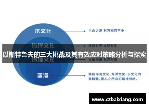 以斯特鲁夫的三大挑战及其有效应对策略分析与探索