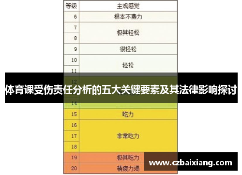 体育课受伤责任分析的五大关键要素及其法律影响探讨