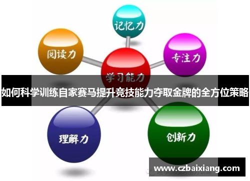 如何科学训练自家赛马提升竞技能力夺取金牌的全方位策略